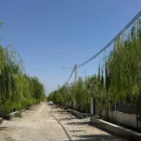 باغچه-شهرکی-مناسب-ساخت-تهراندشت