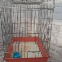 قفس|لوازم جانبی حیوانات|کرج, حصارک پایین|دیوار