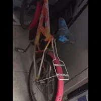 دوچرخه سالم|دوچرخه، اسکیت، اسکوتر|نیشابور, ۲۲ بهمن|دیوار