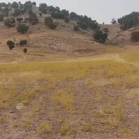 فروش زمین ملکشاهی