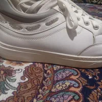 کفش|کیف، کفش، کمربند|میناب, |دیوار