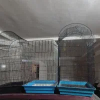 1 عدد قفس مدل 1033 و دو عدد مدل 1034