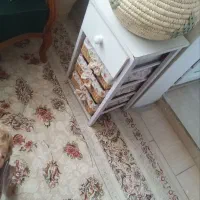 رگال لباس میزاتومیزارایش|جاکفشی، کمد، دراور|محمدیه-قزوین, |دیوار