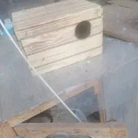 لانه چوبی پرنده .  نو