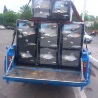 گاوصندوق mdf70 از تولید به مصرف پخش حومه