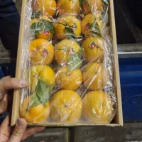 میوه،صیفی جات،مستقیم سرزمین،کازرون