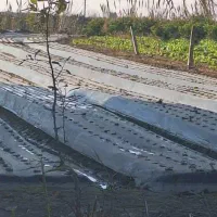 فروش-زمین-حاصلخیز-نبش-خیابان-اصلی