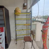 فروش قفسه و لوازم مغازه