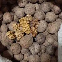 فردوی کاغذی