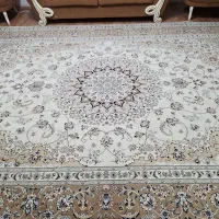 فرش ۱۲ متری|فرش|سنندج, |دیوار