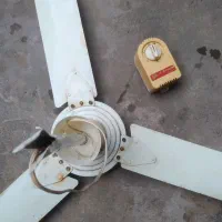 پنکه سقفی با پره و کلید دیواری|پنکه و تصفیهکنندهٔ هوا|رشت, جانبازان|دیوار