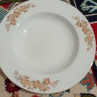 پلوخوری