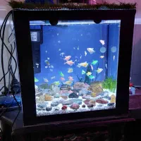اکواریوم ۴۰در۴۰