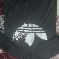 هودی تمیز|کیف، کفش، کمربند|کوهدشت, |دیوار