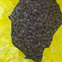 مویز انگور بش|خوردنی و آشامیدنی|شیراز, معالی‌آباد|دیوار