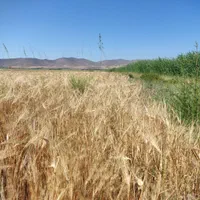 زمین آبی سندار مناسب