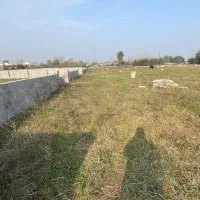 زمین باغی 260متری|فروش زمین و ملک کلنگی|رشت, گلباغ نماز|دیوار