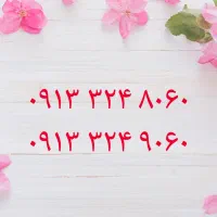 09133248060|سیم‌کارت|اصفهان, سروستان|دیوار