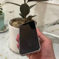 13normal *فروش فوری*|موبایل|بیرجند, |دیوار