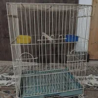 قفس پرنده ، طوطی ، کاسکو