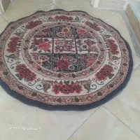 پادری گرد