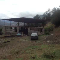 مرغداری نیمه کاره با جواز و زمین سند تکبرگ|فروش دفتر صنعتی، کشاورزی، تجاری|پل سفید, |دیوار