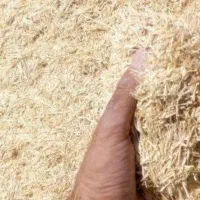 کاه|لوازم جانبی حیوانات|هشتگرد, تهران دشت|دیوار