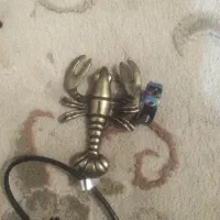 یک عددگردن بند وانگشترنوهستند