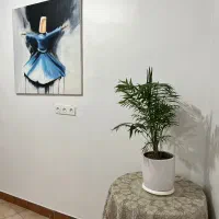 اجاره فضا جهت استدیو یوگا
