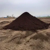 کودپین|گل و گیاه طبیعی|اهر, |دیوار