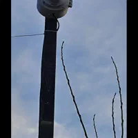 دوربین مداربسته