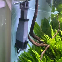 آکواریوم پلنت|ماهی|قم, نخودی|دیوار