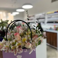 پدیکوریست و‌دستیار ناخن|استخدام درمانی، زیبایی، بهداشتی|تهران, شمس‌آباد|دیوار