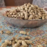توت خشک عالی|خوردنی و آشامیدنی|اصفهان, روشن‌دشت|دیوار