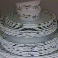 ارکوپال امارات