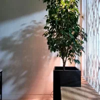 مهندسی معماری