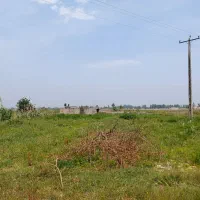 زمین صنعتی بر خیابان اصلی تهاتر دارد|فروش دفتر صنعتی، کشاورزی، تجاری|آمل, |دیوار