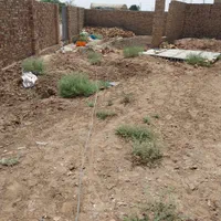 فروش زمین ۳۱۰ متری در مزرعه نو|فروش زمین و ملک کلنگی|کاشان, مزرعه نو|دیوار