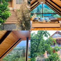 اقامتگاه سویسی جنگلی برکه