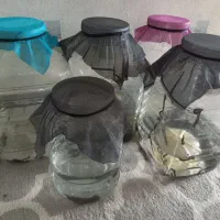 کار در منزل ( نگهداری زالو )