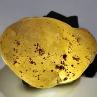 سنگهای قیمتی|جواهرات|رشت, جانبازان|دیوار