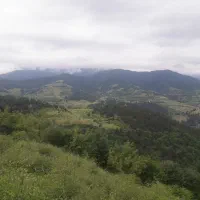 راهنمایی کنید پورسانت ببرید