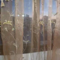 فرش کرم گردویی۹ و۶ متری|فرش|کرج, حصارک بالا|دیوار