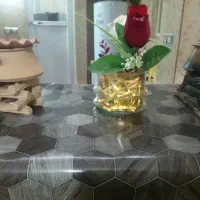 همه سالم و تمیز