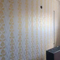 نقاشی ساختمان رنگ آمیزی سفید سریع|خدمات پیشه و مهارت|تبریز, |دیوار