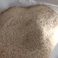 برنج دم سیاه مینودشت|خوردنی و آشامیدنی|مینودشت, |دیوار