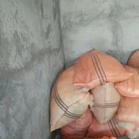 پشم فروشی