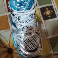 کتانی میزانو|کیف، کفش، کمربند|رشت, منظریه|دیوار