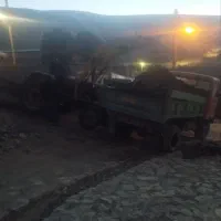 کود گوسفندی|خدمات باغبانی و درختکاری|اسکو, |دیوار