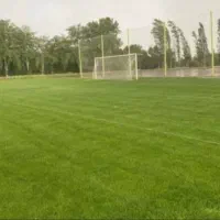 ترانسفر ورزشکاران به اروپا